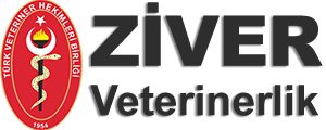 Ziver ÜSTÜN,